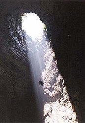 Canopy Flight in the Cave